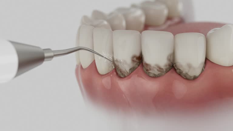 Reliable Dental contractor in Liberty City, TX by Dentist Open Now
